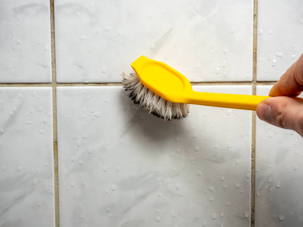 Best Professional Mold Removal  in Bangor, WI