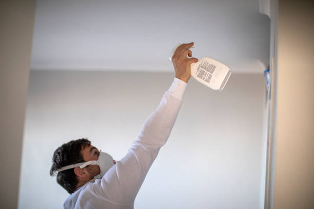 Best Toxic Mold Removal  in Bangor, WI