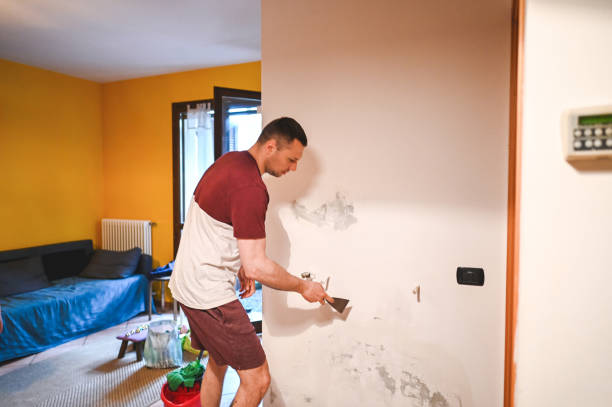 Best Crawl Space Mold Removal  in Bangor, WI