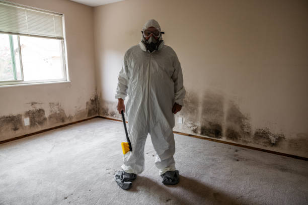 Best Mold Damage Repair  in Bangor, WI